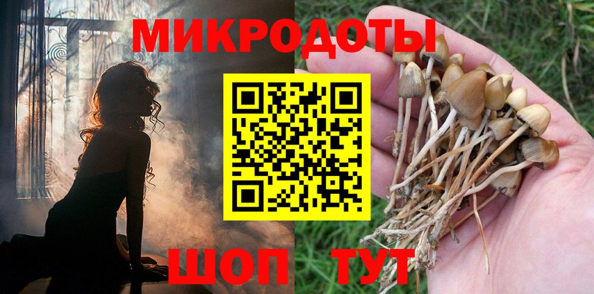 Галлюциногенные грибы Psilocybine cubensis  Вход с VPN  Кимовск 